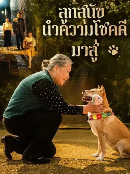 ลูกสุนัขนำความโชคดีมาสู่
