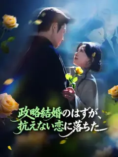 政略結婚のはずが、 抗えない恋に落ちた