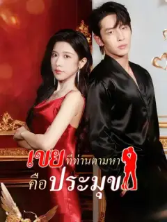 เขยที่ท่านตามหาคือประมุข