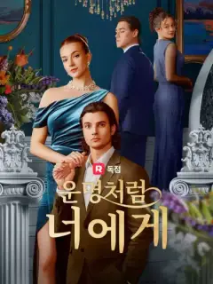 운명처럼 너에게