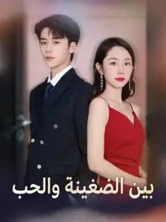 بين الضغينة والحب