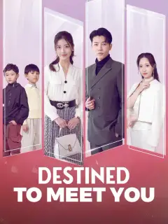 Destined to Meet You