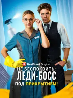 Не беспокоить: леди-босс под прикрытием!