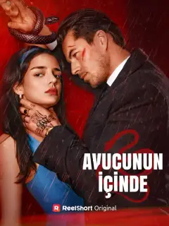 Avucunun İçinde