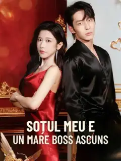 Soțul meu e un mare boss ascuns